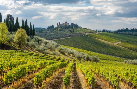 San Gimignano - Radda in Chianti (return by shuttle)